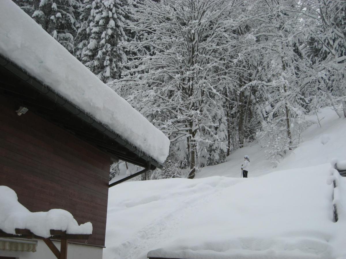 Ski-In Ski-Out Chalet Kriekels - By Alpen Apartments 젤암제 외부 사진